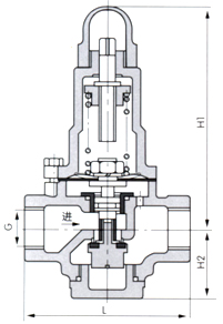 Y110/116X/125減壓閥結(jié)構(gòu)示意圖