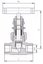 SS-12NBF8美標內(nèi)螺紋針型閥